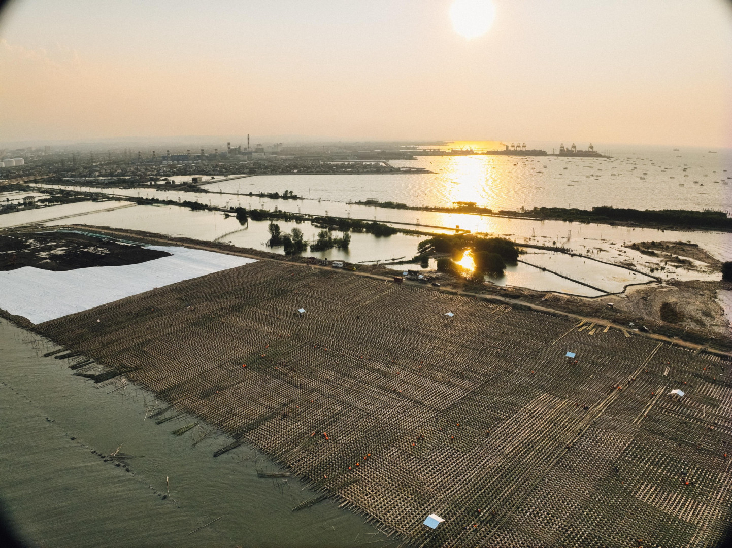 WIKA Builds Semarang - Demak Toll Road, Improve Connectivity and Flood Protection Image